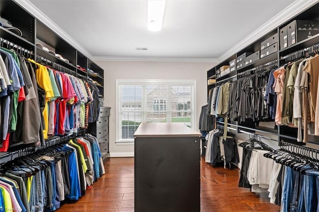 walk in closet with dark hardwood / wood-style floors