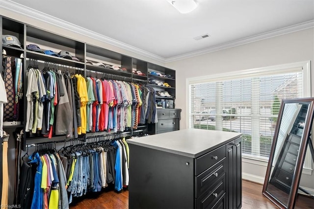 spacious closet with dark wood-type flooring