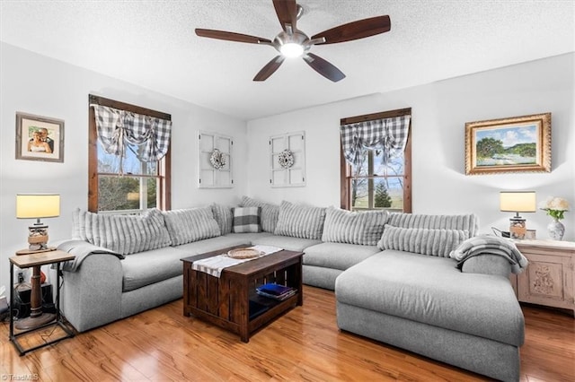 living room featuring wood-type flooring, a wealth of natural light, a textured ceiling, and ceiling fan