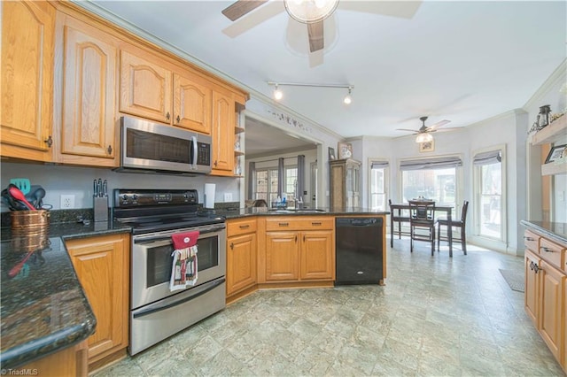 kitchen featuring ceiling fan, crown molding, stainless steel appliances, and plenty of natural light