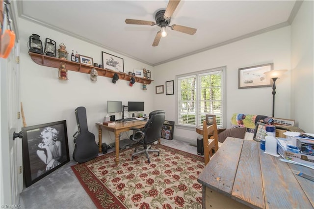 office space with a ceiling fan, carpet floors, and ornamental molding