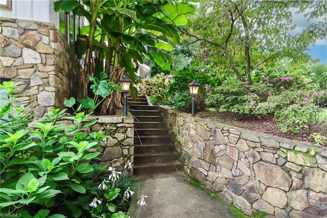 view of yard featuring stairway