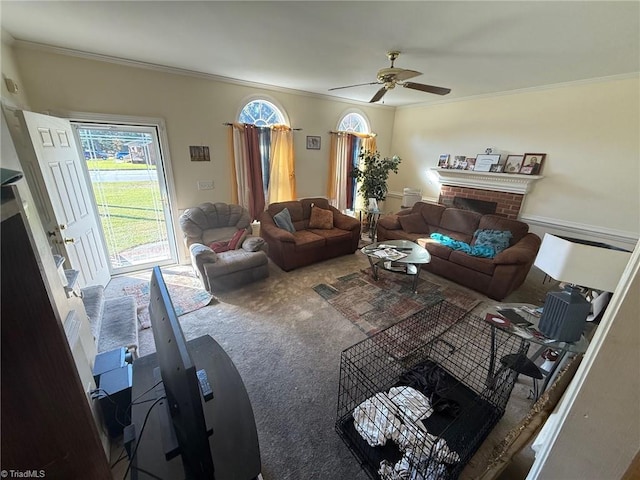 carpeted living room featuring ceiling fan, a fireplace, and crown molding