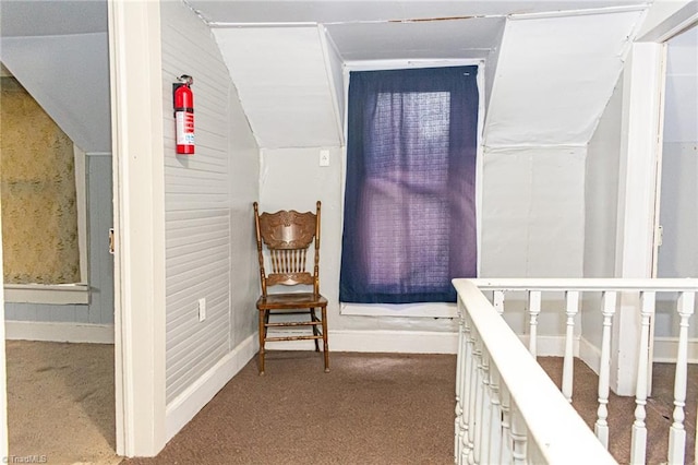 319 Cherry St, Eden, NC 27288 - hallway with lofted ceiling and carpet flooring