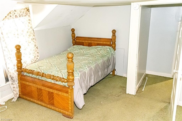 319 Cherry St, Eden, NC 27288 - bedroom featuring lofted ceiling and carpet flooring