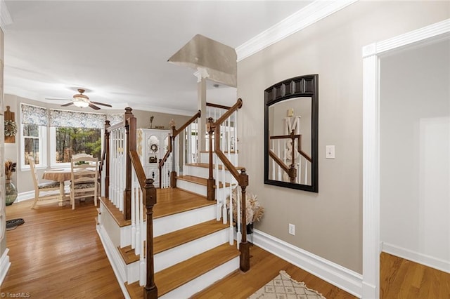 stairs with wood-type flooring, ceiling fan, and ornamental molding