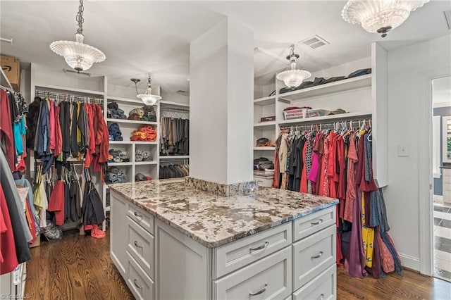 walk in closet featuring dark hardwood / wood-style floors