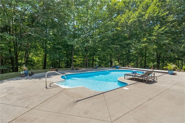 view of pool with a patio