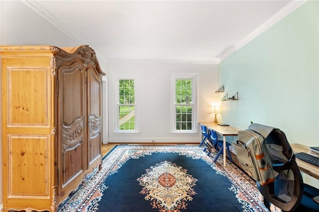 office space with ornamental molding and wood finished floors