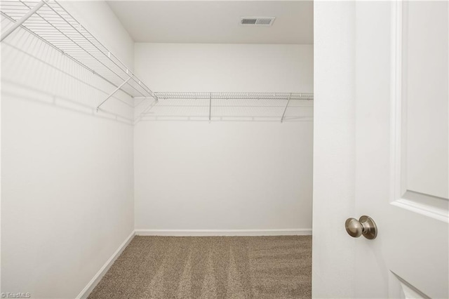 spacious closet featuring visible vents and carpet