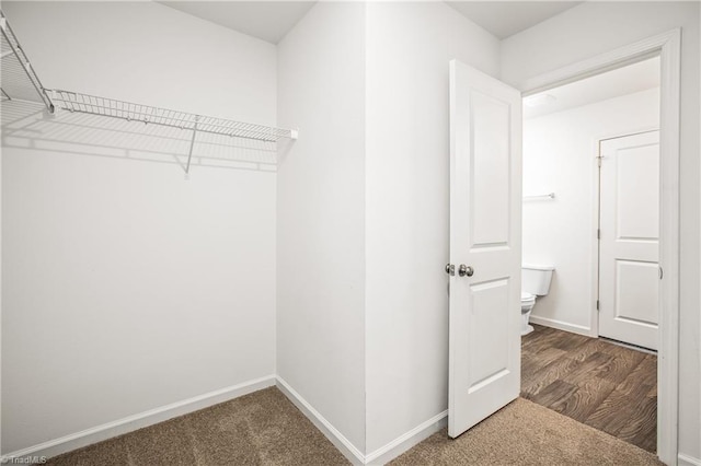 spacious closet featuring wood finished floors