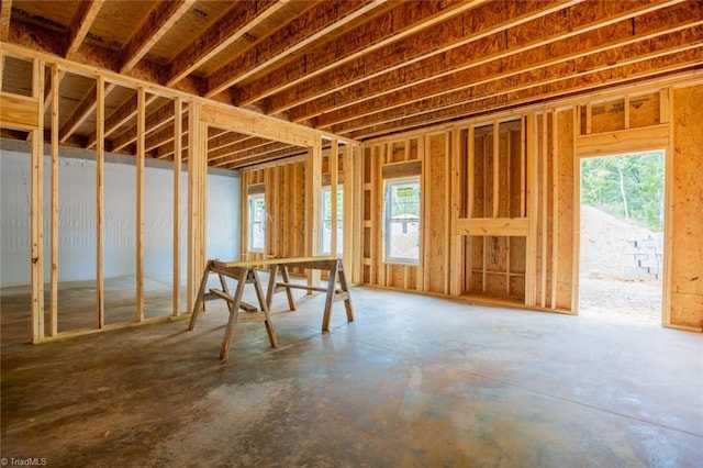 miscellaneous room with a wealth of natural light