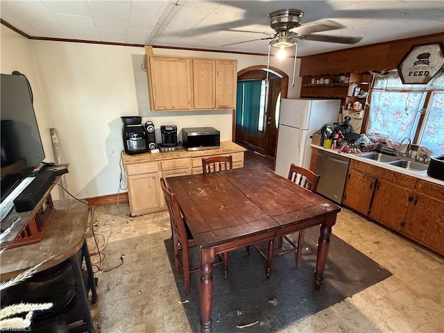 kitchen with stainless steel appliances, crown molding, sink, and ceiling fan