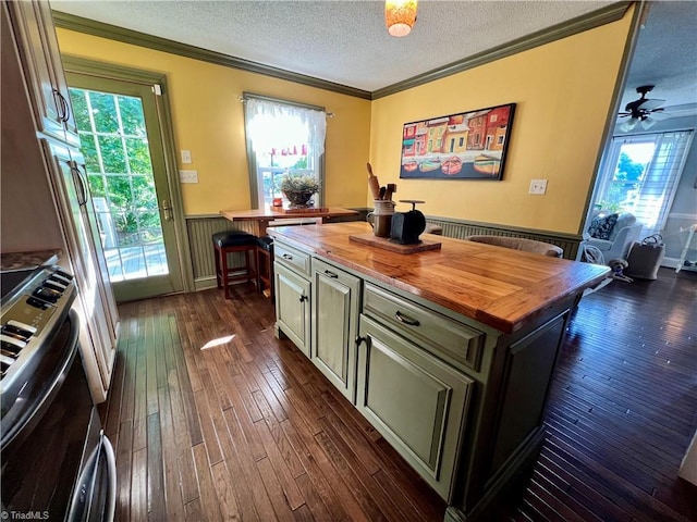 kitchen with a healthy amount of sunlight, dark hardwood / wood-style flooring, butcher block counters, and range