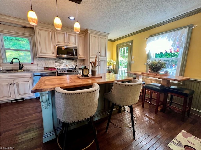 kitchen with dark hardwood / wood-style flooring, appliances with stainless steel finishes, sink, and butcher block counters