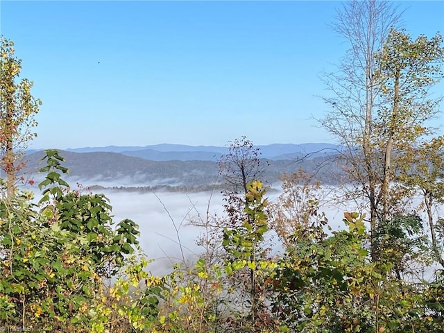 Listing photo 2 for TBD Eagle Heights Circle, Lenoir NC 28645