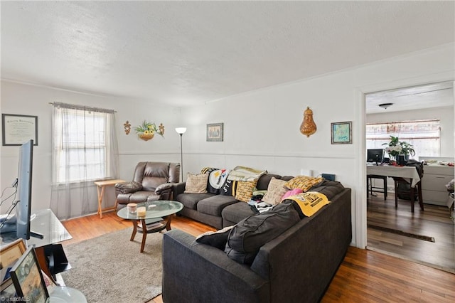 living room with wood-type flooring