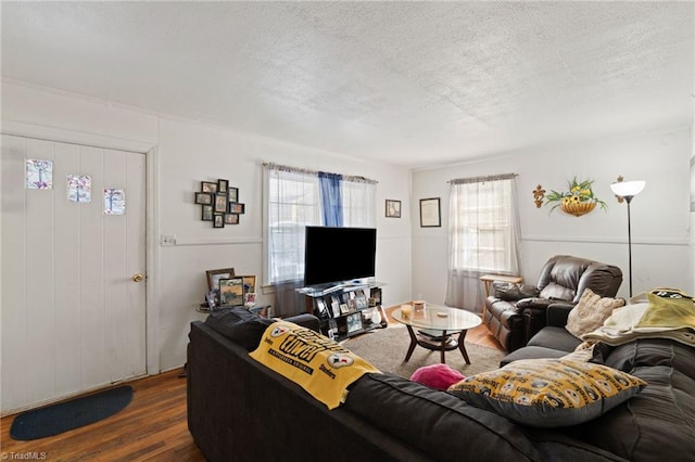 living room with a textured ceiling and dark hardwood / wood-style floors