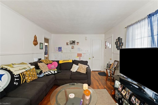 living room with dark hardwood / wood-style floors