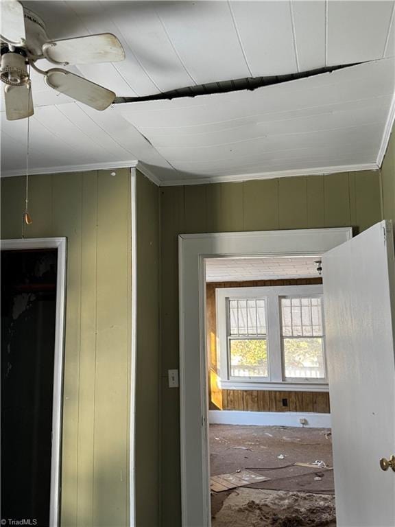 doorway to outside with ornamental molding, ceiling fan, and wooden walls