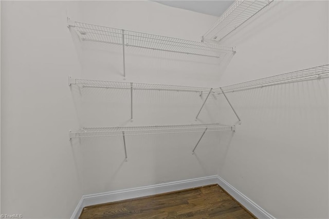 1810 Elm St N, Greensboro, NC 27408 - walk in closet with dark wood-type flooring