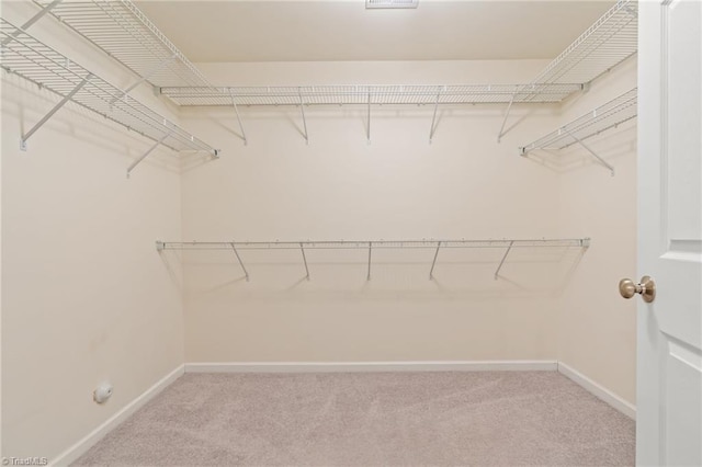 spacious closet featuring carpet flooring