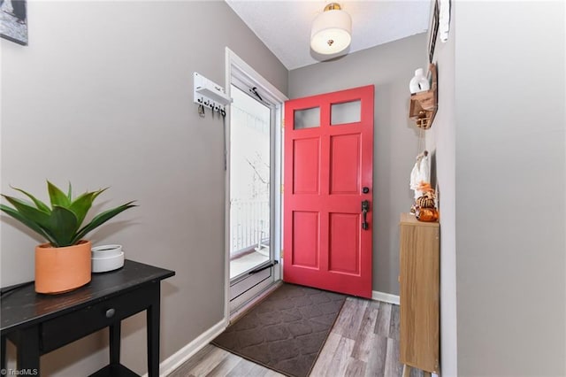 foyer with wood-type flooring