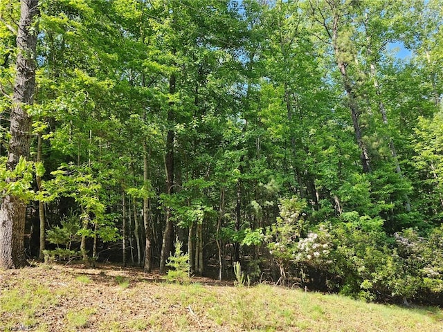 LOT2 Baldwin Dr, Lowgap NC, 27024 land for sale