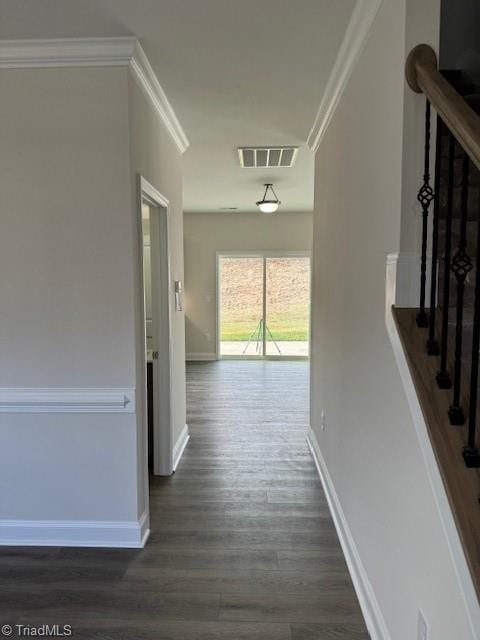 hallway featuring dark wood-type flooring and ornamental molding