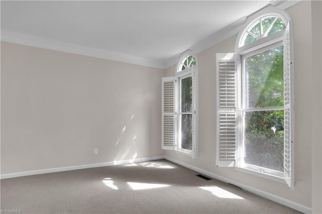 4507 Brandt Ridge Dr, Greensboro, NC 27455 - spare room featuring crown molding, carpet flooring, a healthy amount of sunlight, and baseboards