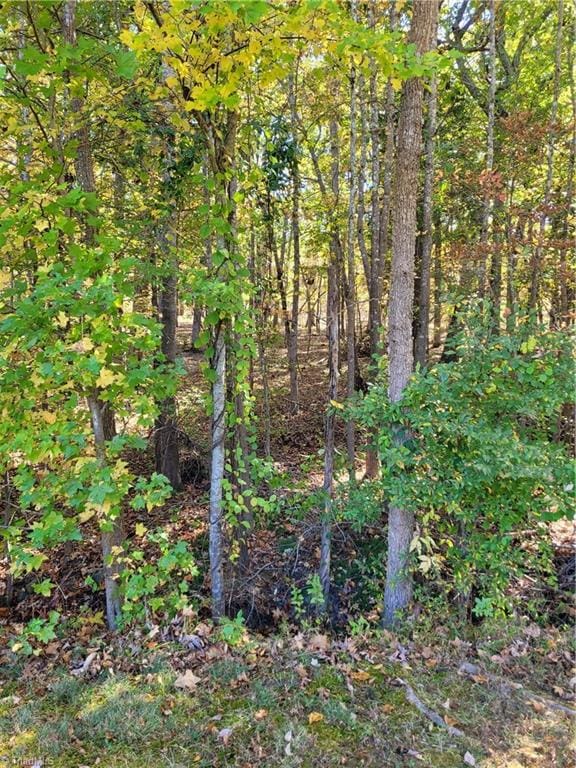 411 Harborgate Dr, Denton NC, 27239 land for sale