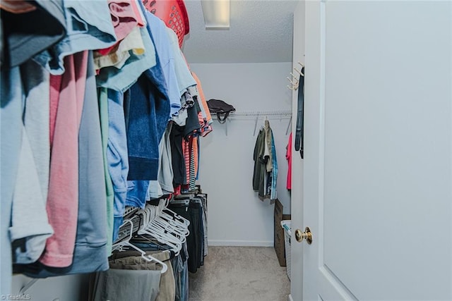 101 Kingston Ln, Graham, NC 27253 - walk in closet featuring light carpet