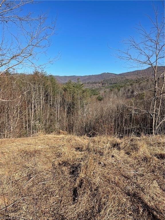 Listing photo 2 for 0 Lump Rd, Purlear NC 28665