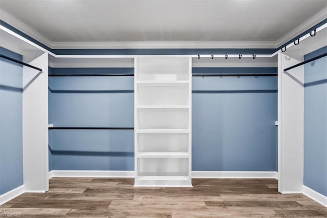 walk in closet featuring wood finished floors