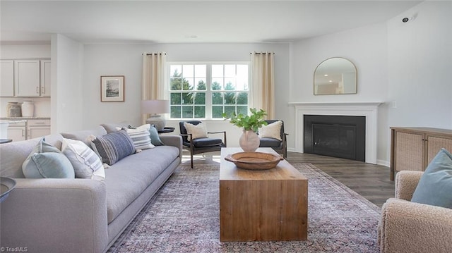 3810 Colt Ct, Trinity, NC 27370 - living room with a glass covered fireplace, wood finished floors, and baseboards