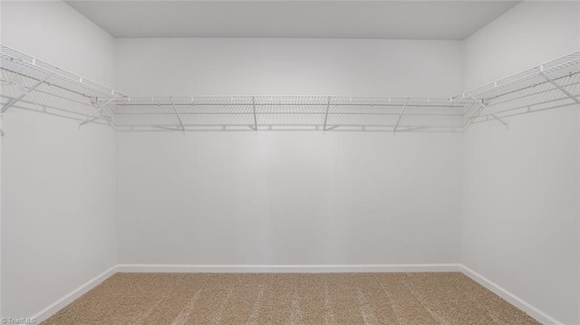 3810 Colt Ct, Trinity, NC 27370 - walk in closet with carpet floors