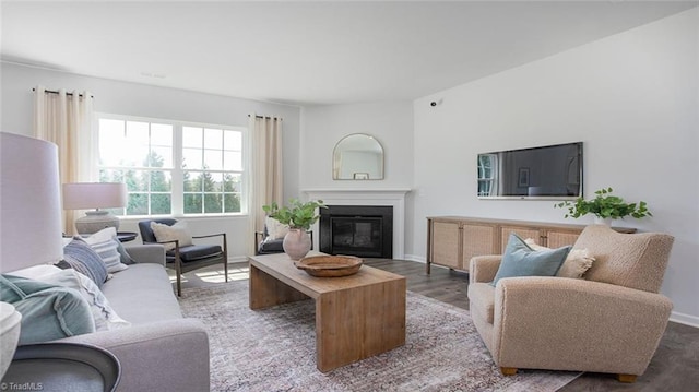 3810 Colt Ct, Trinity, NC 27370 - living area with a glass covered fireplace, wood finished floors, and baseboards