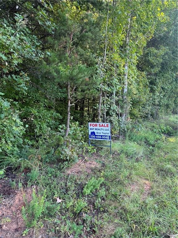 6208 Cape Wedgewood Cir, Browns Summit NC, 27214 land for sale