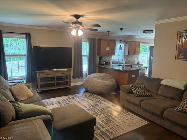 113 Spencer St, Randleman, NC 27317 - living room featuring dark wood-type flooring, a ceiling fan, and ornamental molding