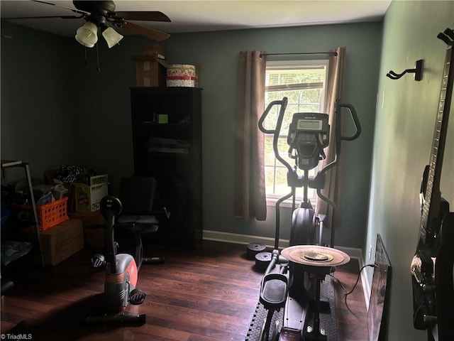 113 Spencer St, Randleman, NC 27317 - workout area with a ceiling fan, dark wood finished floors, and baseboards