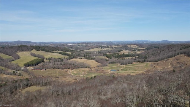 mountain view
