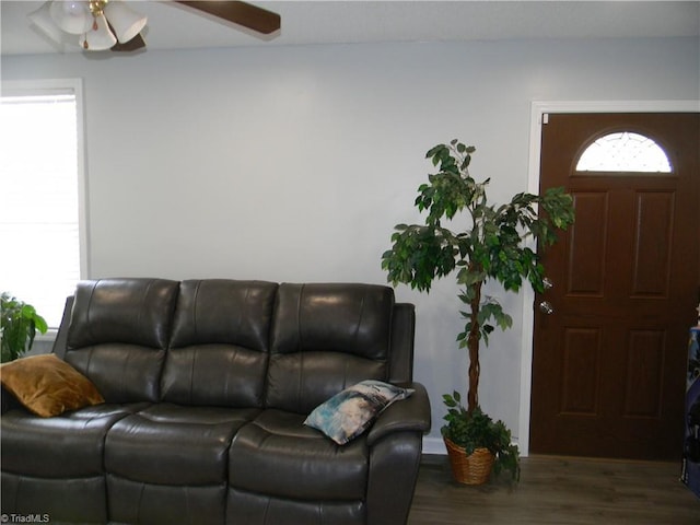 living room with dark hardwood / wood-style floors, a wealth of natural light, and ceiling fan