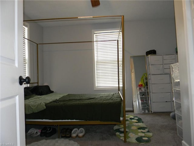 carpeted bedroom with multiple windows and ceiling fan