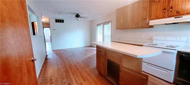 305 Corliss St, Greensboro, NC 27406 - kitchen featuring electric range, under cabinet range hood, light countertops, light wood-style floors, and a ceiling fan