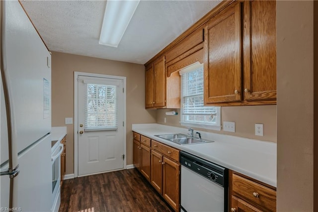 kitchen featuring white appliances, brown cabinets, and a sink