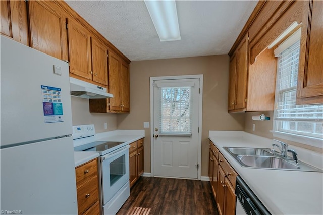 kitchen with brown cabinets, white appliances, a sink, and under cabinet range hood