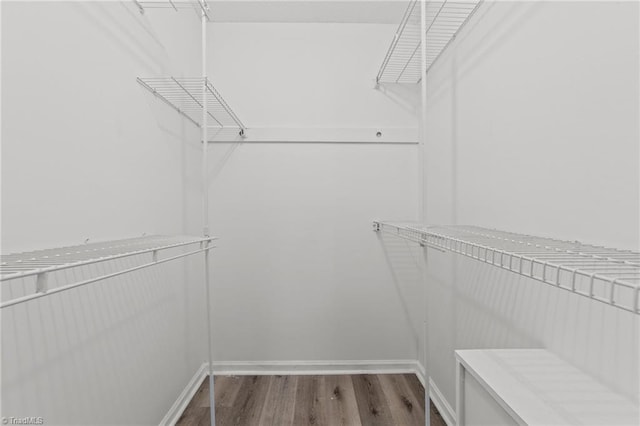 spacious closet featuring hardwood / wood-style floors