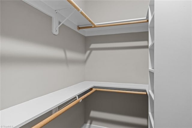 view of walk in closet