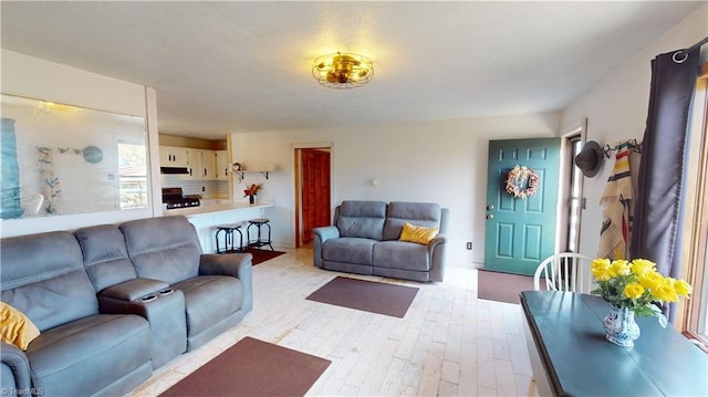 living room featuring light wood-type flooring