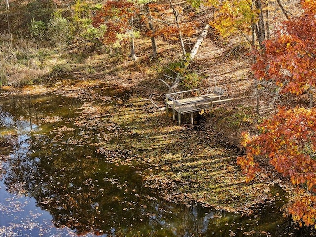 view of landscape with a water view